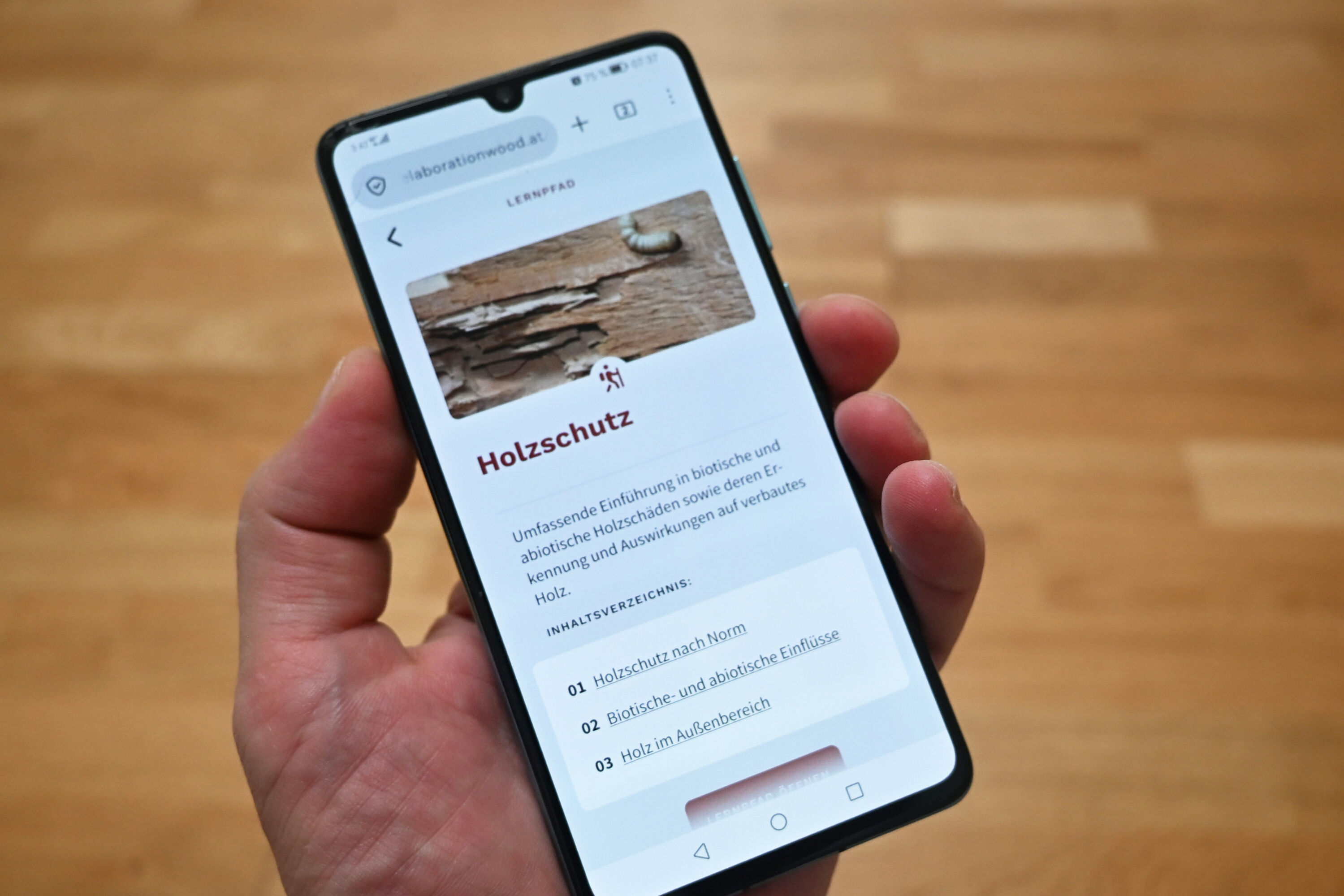 Plattform eLABoration Wood am Smartphone