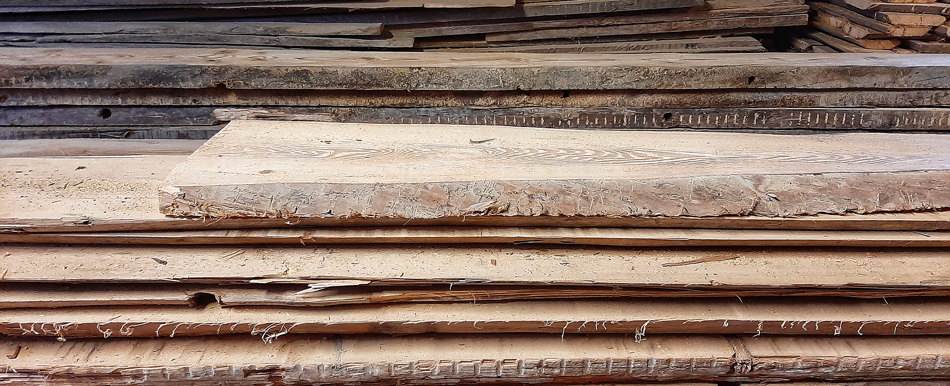 Wood waste pile